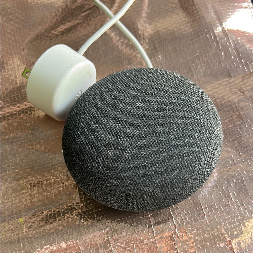 Google Smart Speaker in Charcoal Gray
